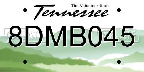 8DMB045 Tennessee License Plate