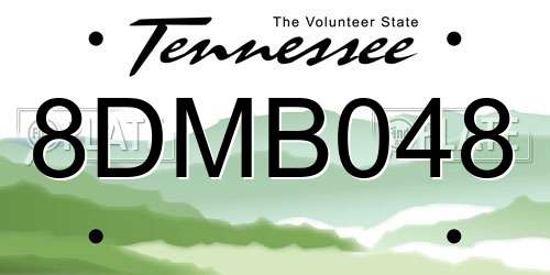 8DMB048 Tennessee License Plate