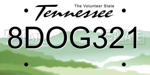 8DOG321 Tennessee License Plate