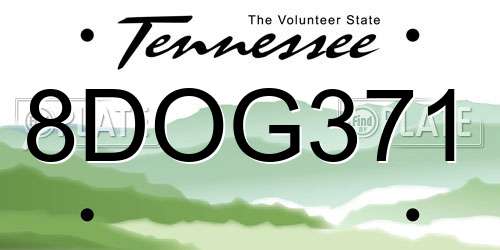 8DOG371 Tennessee License Plate
