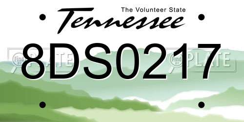 8DS0217 Tennessee License Plate