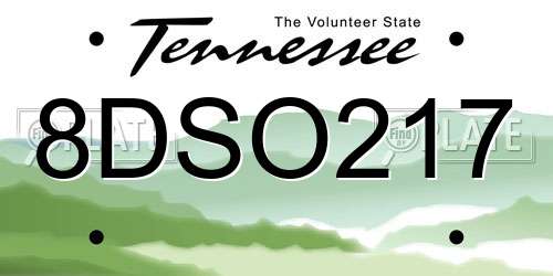 8DSO217 Tennessee License Plate