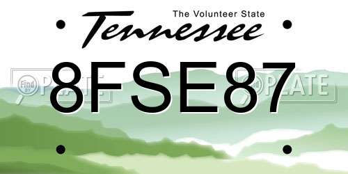 8FSE87 Tennessee License Plate