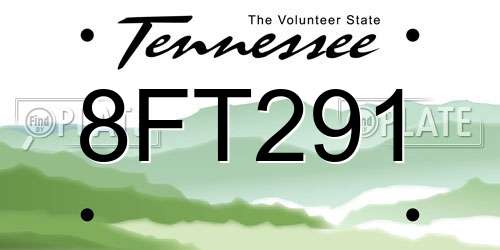 8FT291 Tennessee License Plate