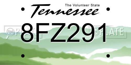 8FZ291 Tennessee License Plate