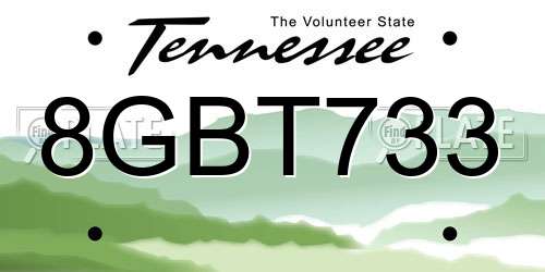 8GBT733 Tennessee License Plate
