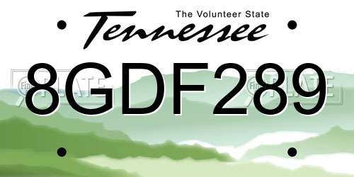 8GDF289 Tennessee License Plate