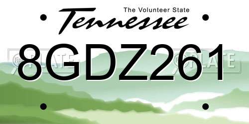 8GDZ261 Tennessee License Plate