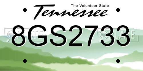 8GS2733 Tennessee License Plate