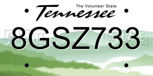 8GSZ733 Tennessee License Plate