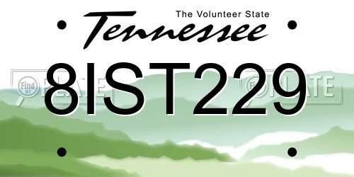 8IST229 Tennessee License Plate
