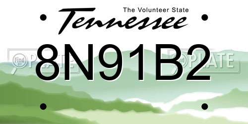 8N91B2 Tennessee License Plate