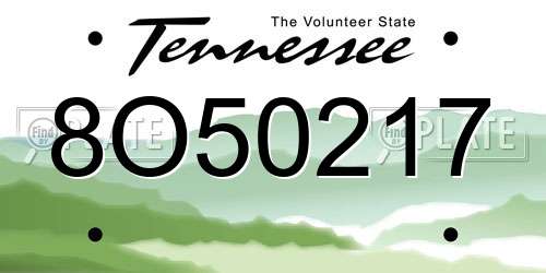 8O50217 Tennessee License Plate