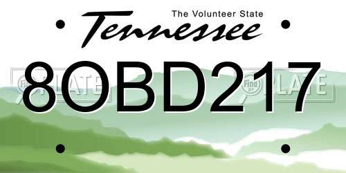 8OBD217 Tennessee License Plate