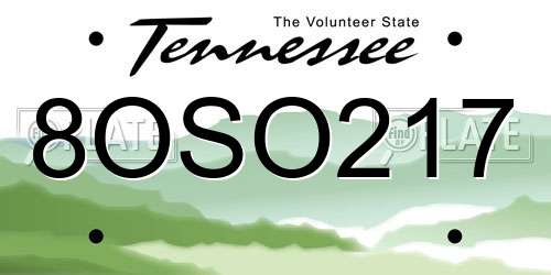 8OSO217 Tennessee License Plate