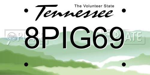 8PIG69 Tennessee License Plate
