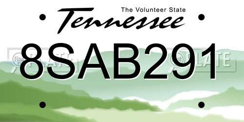 8SAB291 Tennessee License Plate