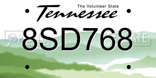 8SD768 Tennessee License Plate