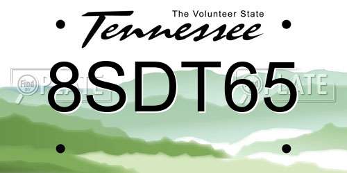 8SDT65 Tennessee License Plate