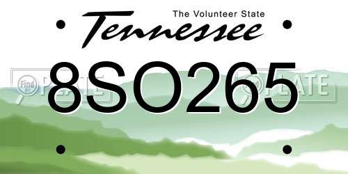 8SO265 Tennessee License Plate