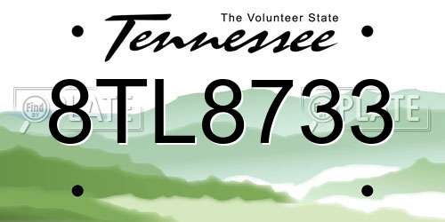 8TL8733 Tennessee License Plate