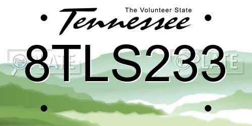 8TLS233 Tennessee License Plate