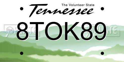 8TOK89 Tennessee License Plate