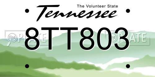8TT803 Tennessee License Plate