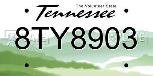 8TY8903 Tennessee License Plate