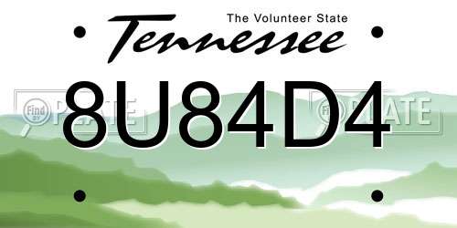 8U84D4 Tennessee License Plate