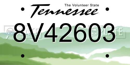 8V42603 Tennessee License Plate