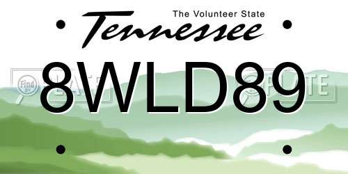 8WLD89 Tennessee License Plate