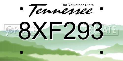 8XF293 Tennessee License Plate