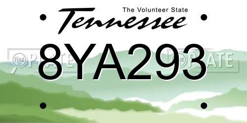 8YA293 Tennessee License Plate