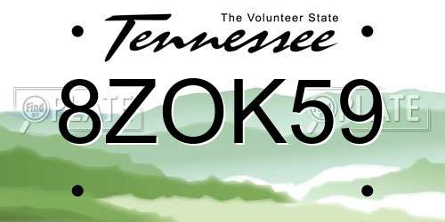 8ZOK59 Tennessee License Plate