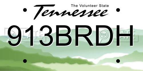 913BRDH Tennessee License Plate