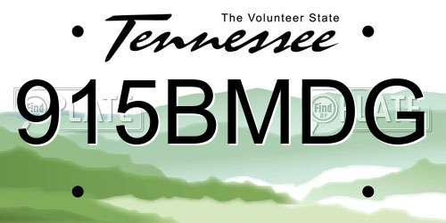 915BMDG Tennessee License Plate