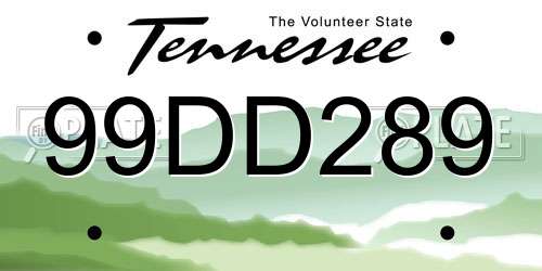 99DD289 Tennessee License Plate