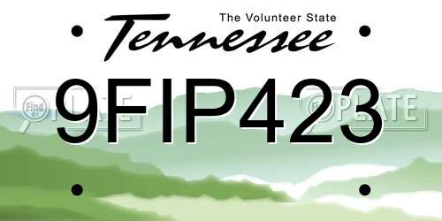 9FIP423 Tennessee License Plate
