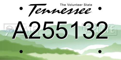 A255132 Tennessee License Plate