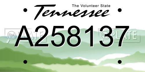 A258137 Tennessee License Plate