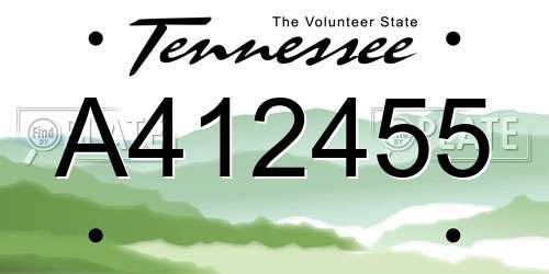 A412455 Tennessee License Plate