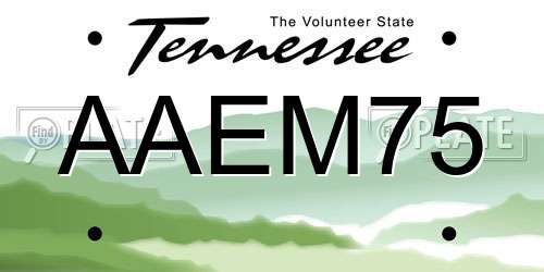 AAEM75 Tennessee License Plate