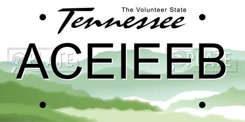 ACEIEEB Tennessee License Plate