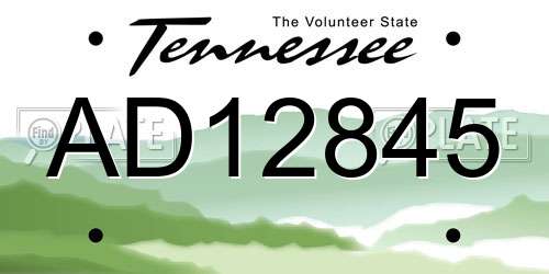 AD12845 Tennessee License Plate