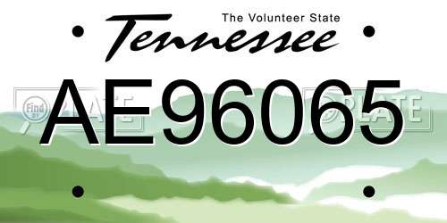 AE96065 Tennessee License Plate