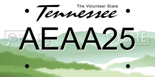 AEAA25 Tennessee License Plate