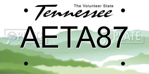 AETA87 Tennessee License Plate