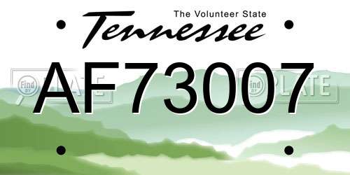 AF73007 Tennessee License Plate