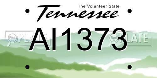 AI1373 Tennessee License Plate